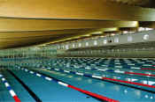 I trofeo Internazionale di nuoto Citt� di Lignano>